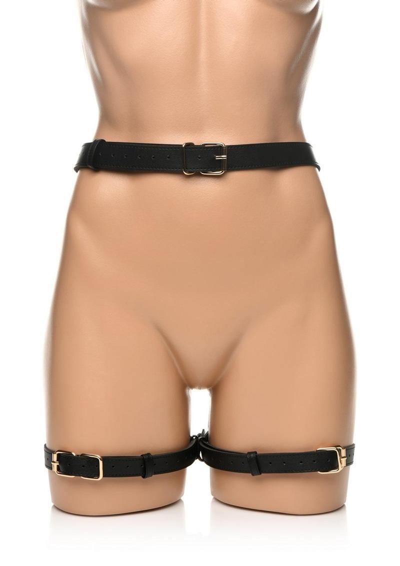 Strict Bondage Harness with Bows - Its Cassidy Bybee