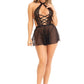 Crisscross Babe - Its Cassidy Bybee