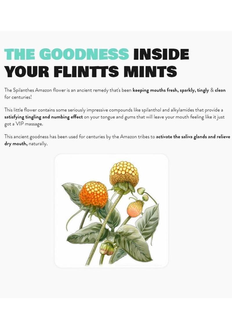 Flintts Mints Mouth Watering Oral Delights