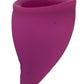 Fun Cup B Silicone Menstrual Cup - Grape/Purple