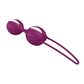 Smartballs Duo Silicone Kegel Trainer Kit
