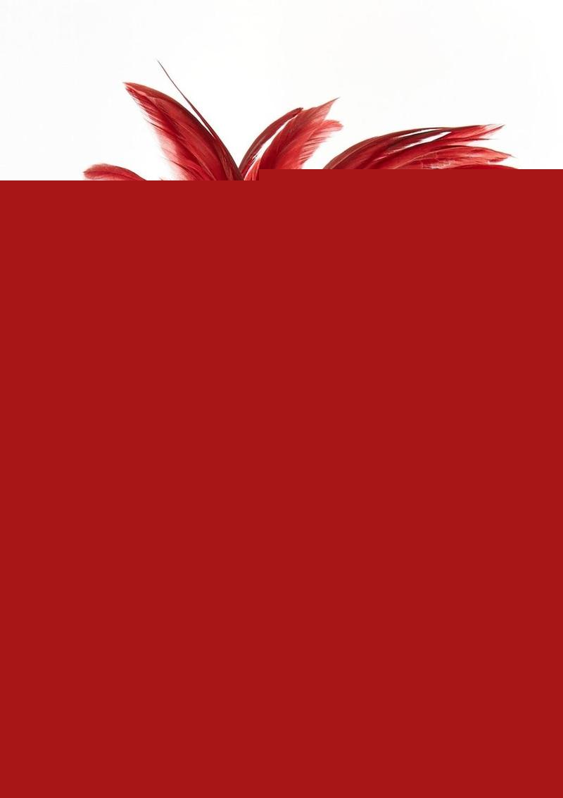 Sportsheets Pleasure Feather - Red